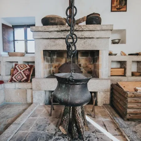 Ana فيلة Ivanica