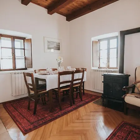 فيلة Ana Ivanica